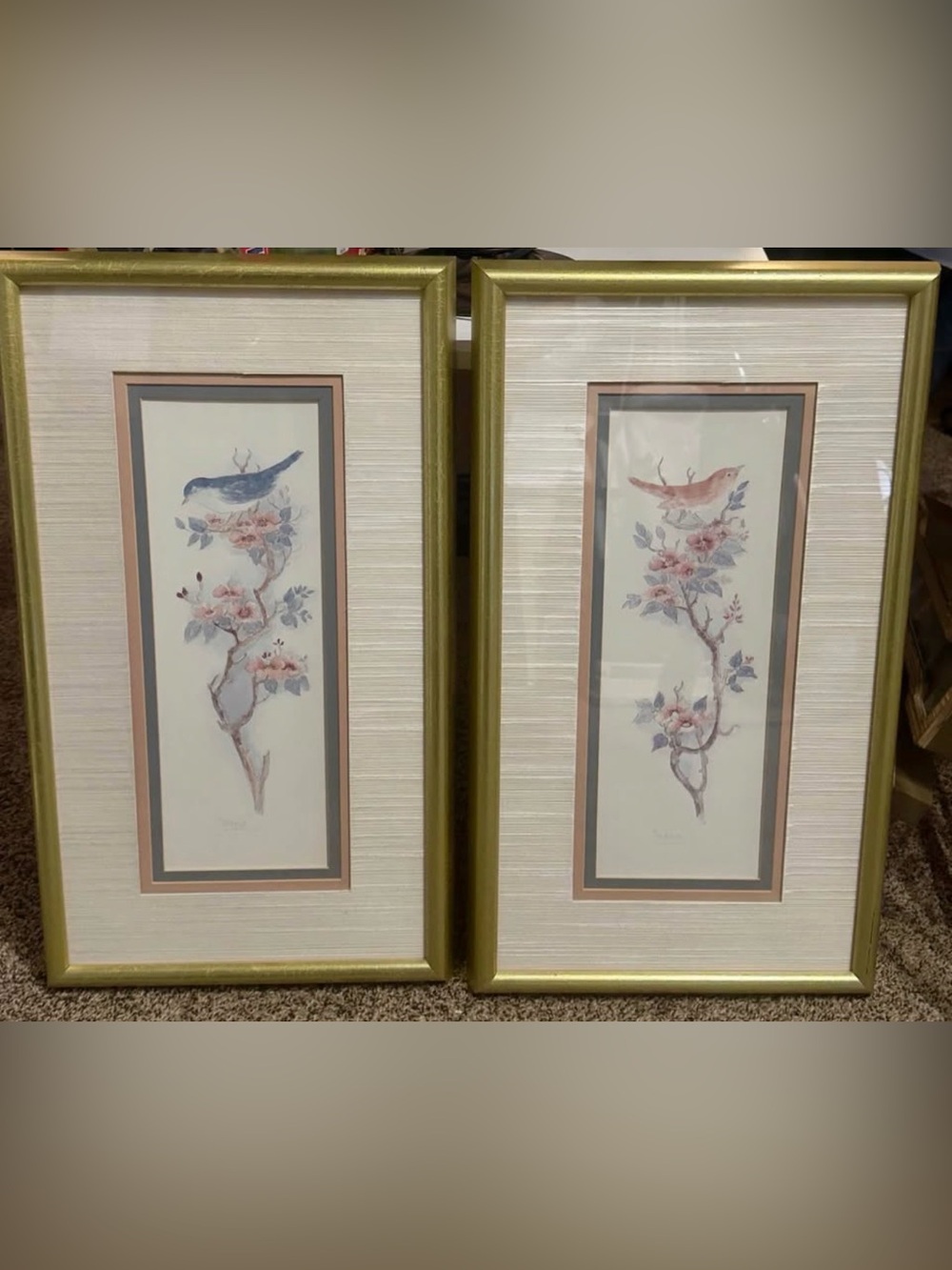 Vintage Mary Vincent Bertrand Signed Bird Watercolor Lithograph Prints Framed